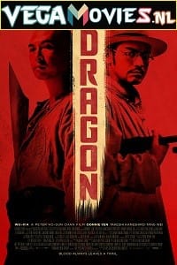 Download  Dragon (2011) Dual Audio {Hindi-English} 480p [300MB] | 720p [750MB]
