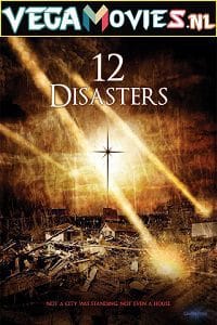 Download  The 12 Disasters of Christmas (2012) Dual Audio {Hindi-English} 480p [300MB] | 720p [1.2GB]