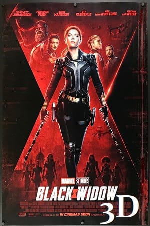 Download  Black Widow (2021) 3D – Movie Dual Audio {Hindi-English} 720p [1.2GB] | 1080p [2.7GB]
