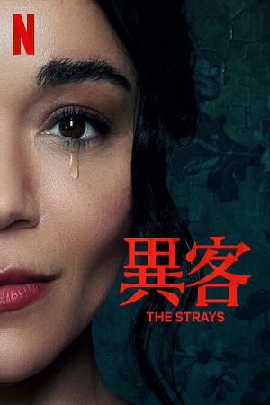 Download  The Strays – Netflix Original (2023) WEB-DL Dual Audio {Hindi-English} 480p [300MB] | 720p [650MB] | 1080p [1.3GB]