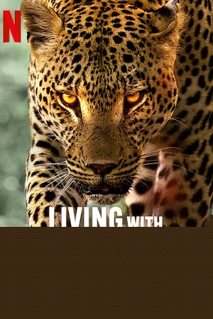 Download  Living with Leopards (2024) {English with Subtitles} Full Movie WEB-DL 480p [200MB] | 720p [570MB] | 1080p [1.3GB]