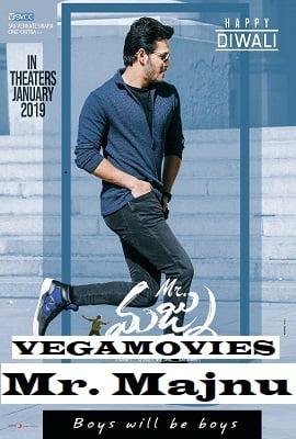 Download  Mr. Majnu (2020) Hindi Dubbed Full Movie 480p [350MB] | 720p [1GB] | 1080p [1.3GB]