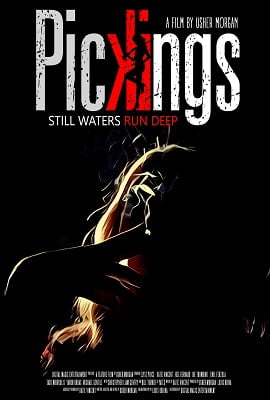 Download  Pickings (2018) Dual Audio {Hindi-English} 480p [300MB] | 720p [900MB]