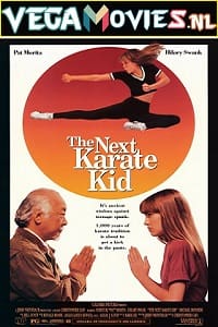 Download  The Next Karate Kid (1994) Dual Audio {Hindi-English} 480p [400MB] | 720p [1GB] | 1080p [3.7GB]