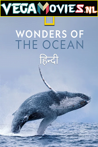 Download  Wonders of the Ocean (2021) Season 1 Hindi Complete DSNP WEB Series 480p | 720p HDRip
