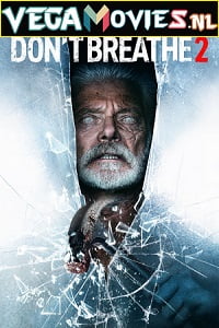 Download  Don’t Breathe 2 (2021) Dual Audio {Hindi ORG 5.1 - English} WEB-DL 480p [300MB] | 720p [850MB] | 1080p [1.9GB]